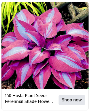 Avoiding Gardening Scams